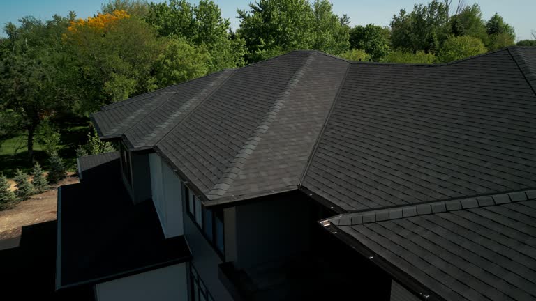 Best Roof Leak Repair  in Ly Lake, IL