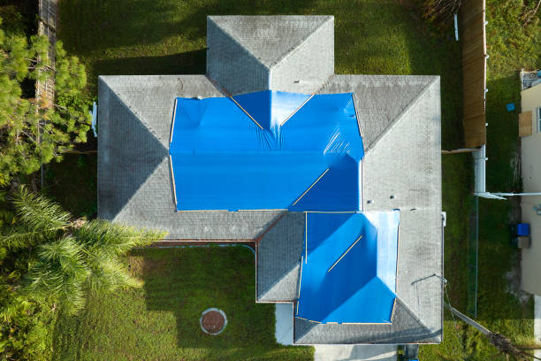 Best Roof Coating and Sealing  in Ly Lake, IL