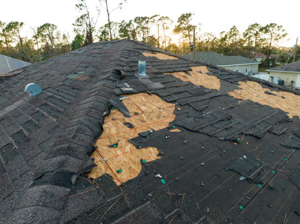 Best Green or Eco-Friendly Roofing Solutions  in Ly Lake, IL