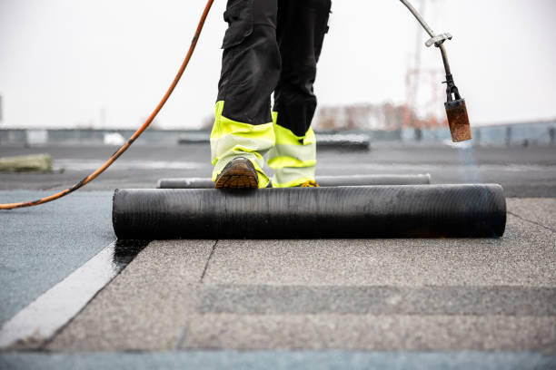 Best Asphalt Shingle Roofing  in Ly Lake, IL