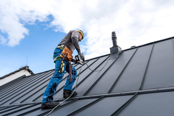 Best Roof Moss and Algae Removal  in Ly Lake, IL