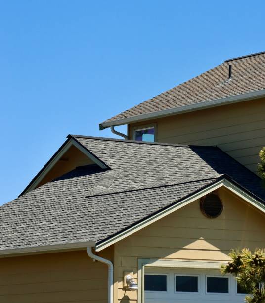 Best Roof Insulation Installation  in Ly Lake, IL