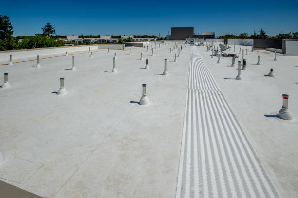 Best Emergency Roof Repair Services  in Ly Lake, IL